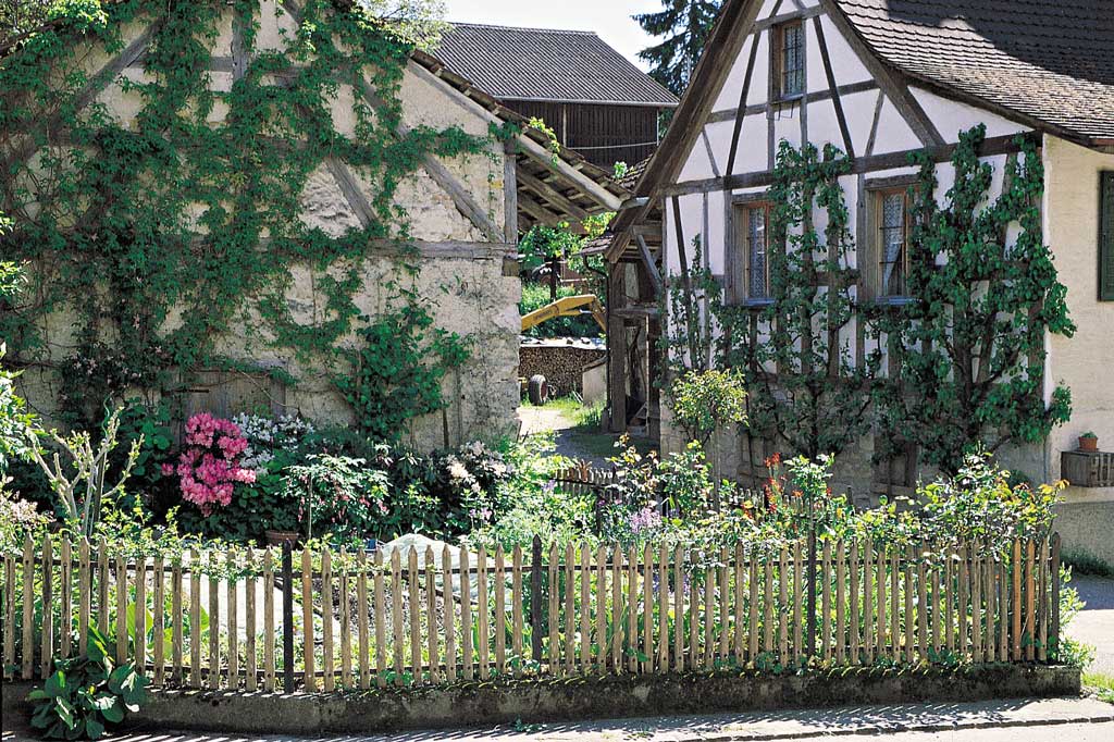 Die mächtige Häusergruppe «Zum Ochsen» aus dem Jahre 1752 enthält nebst Wohn- und Ökonomieteilen auch gewaltige Gewölbekeller. Einzigartig sind auf der Rückseite die Laubengänge. Der vor einem freistehenden Ökonomiegebäude angelegte Bauerngarten ist mit einem Staketenzaun eingefriedet. Das Wohnhaus zieren Wandspaliere mit Birnen, Kiwi und Aprikosen © Emil Wiesli, Schaffhausen