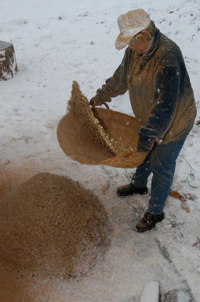 Trennen der Kastanien von den Schalen durch Schütteln im Weidekorb © Max Weiss/Montabella Verlag