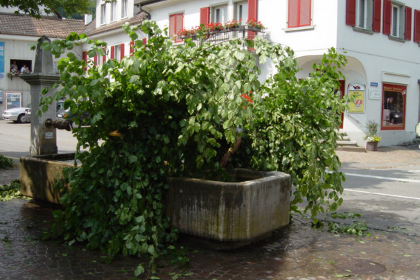 Ettingen, 2003: Pfingstblütter an einem Brunnen © Markus Christen