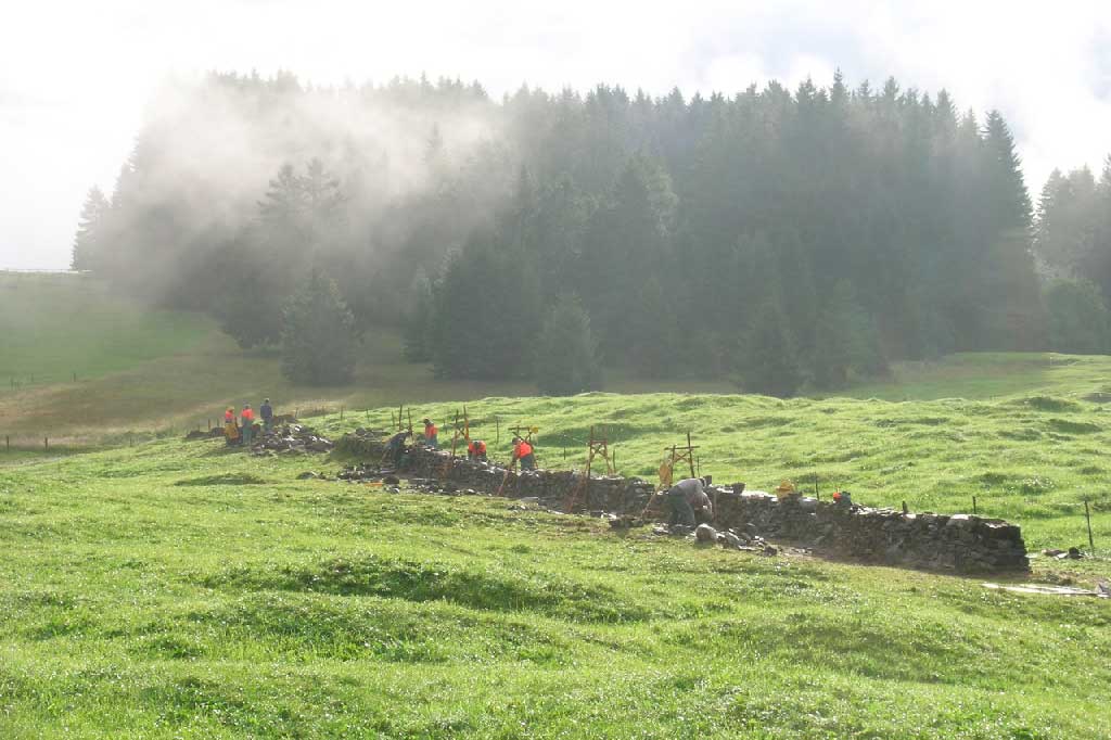 Zivildiensteinsatz Stiftung Umwelt-Einsatz Schweiz, Grabs, Kanton St.Gallen, 2005 © Felix Riegger, 2005/www.steinundkraut.ch