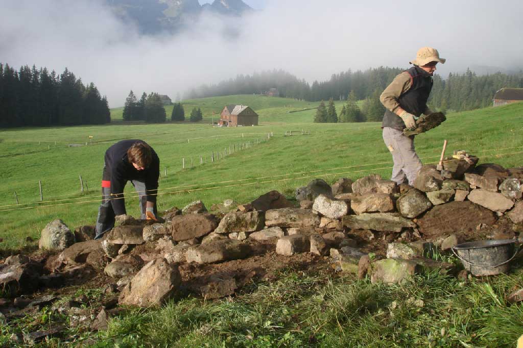 Zivildiensteinsatz Stiftung Umwelt-Einsatz Schweiz, Grabs, Kanton St.Gallen, 2007 © Felix Riegger, 2007/www.steinundkraut.ch