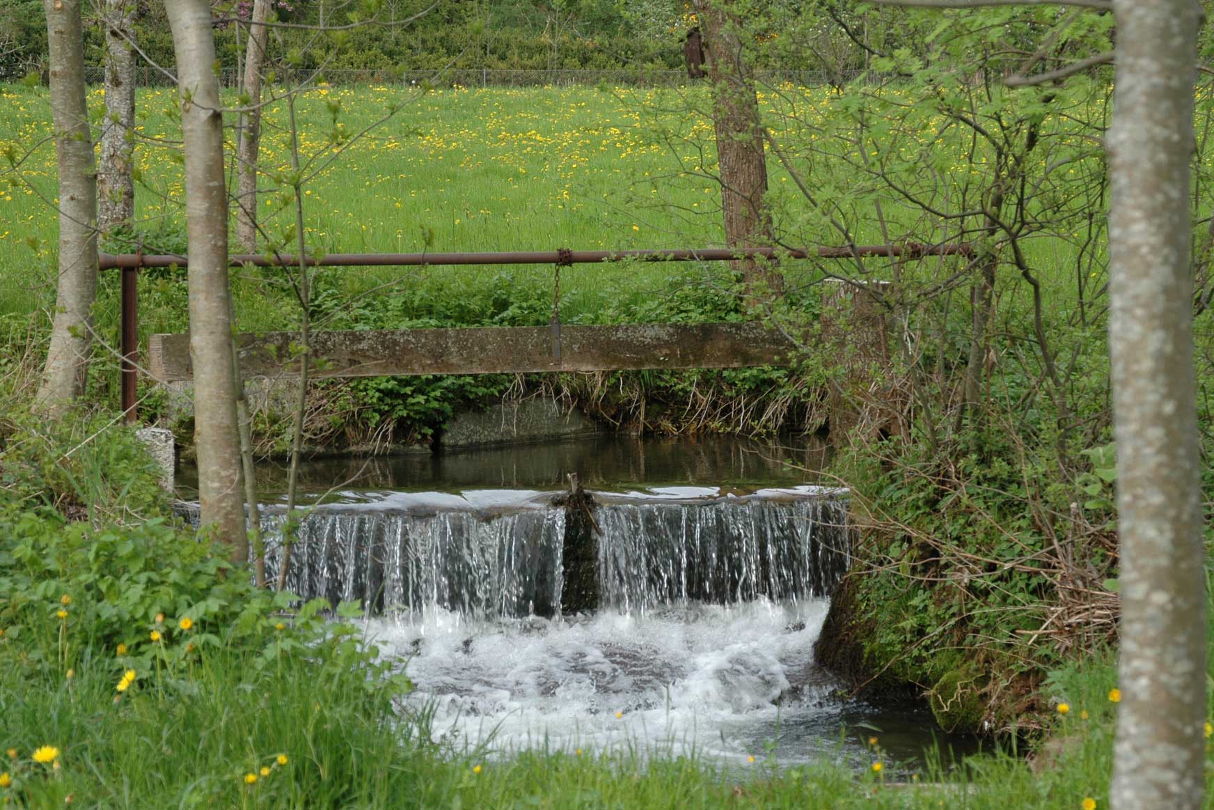 Flueschwelle in der Rot im Frühling © Werner Stirnimann, 2006