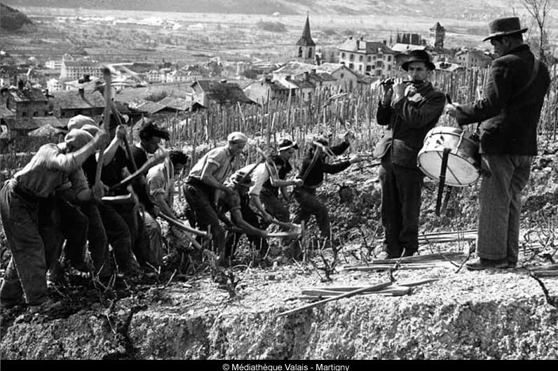 «Vignolage» in Muraz sur Sierre, 1942 © Max Kettel/Médiathèque Valais, Martigny