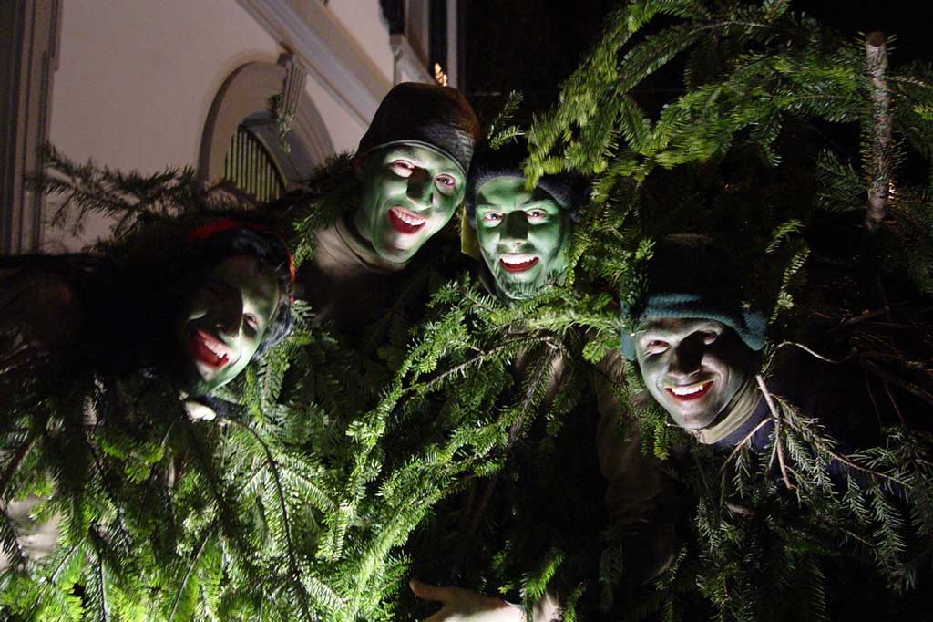 Non-residents in costume at Bechtelisnacht © Frauenfelderwoche, 2009