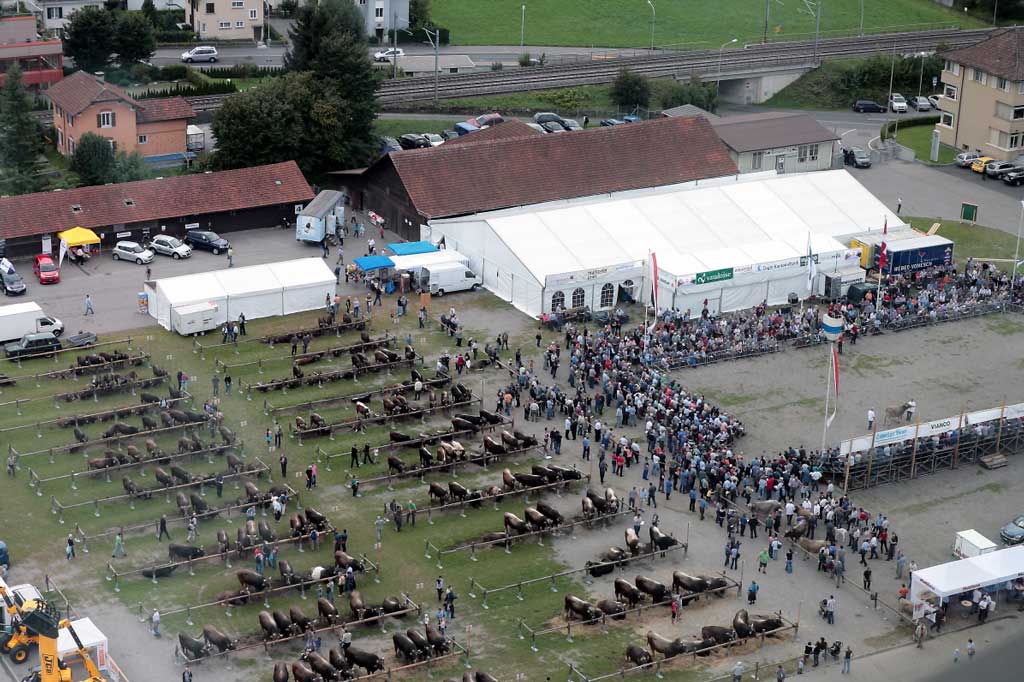 Aerial shot of part of the bull market held in Herti (Zug): marquee, ring and holding areas, September 2011. © Adalbert Ulrich, Steinhausen