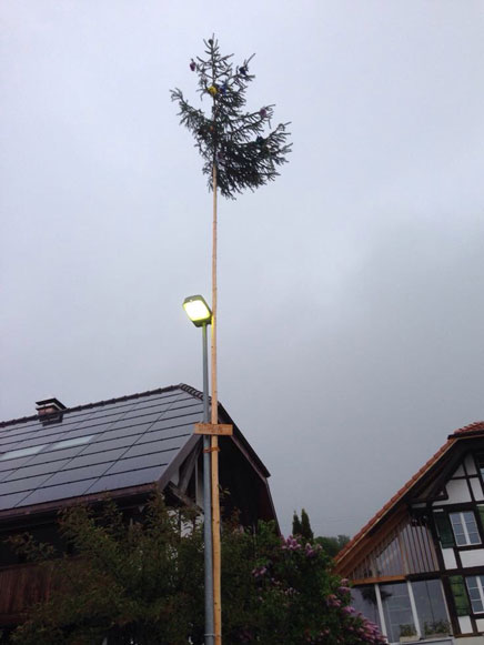 Maypole with inscription (Brüttelen BE, 2015) © Priska Moser