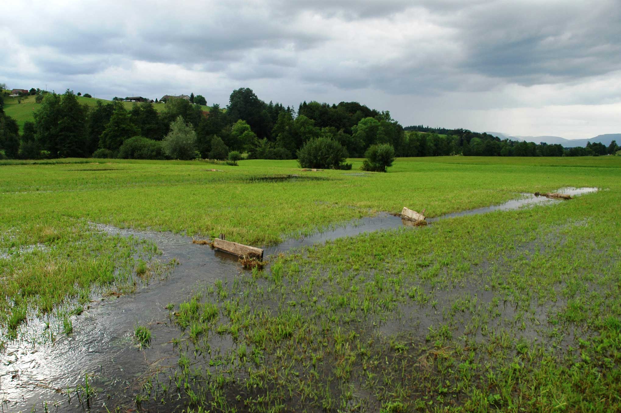 The Altbüron meadows © Werner Stirnimann, 2009