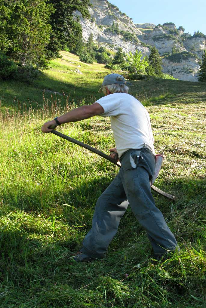 Rophaien near Flüelen, Uri: Augustin Gisler reaping the hay with a scythe in steep terrain, 2008 © Michael Dipner, Basel