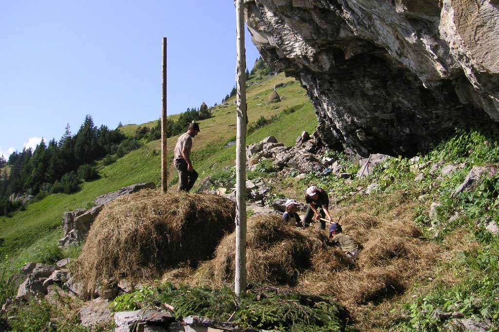 Silenen, Uri: the Bauer family building two 'Tristen' (stacks of hay constructed around a pole) for storage, 2010 © Edy Epp