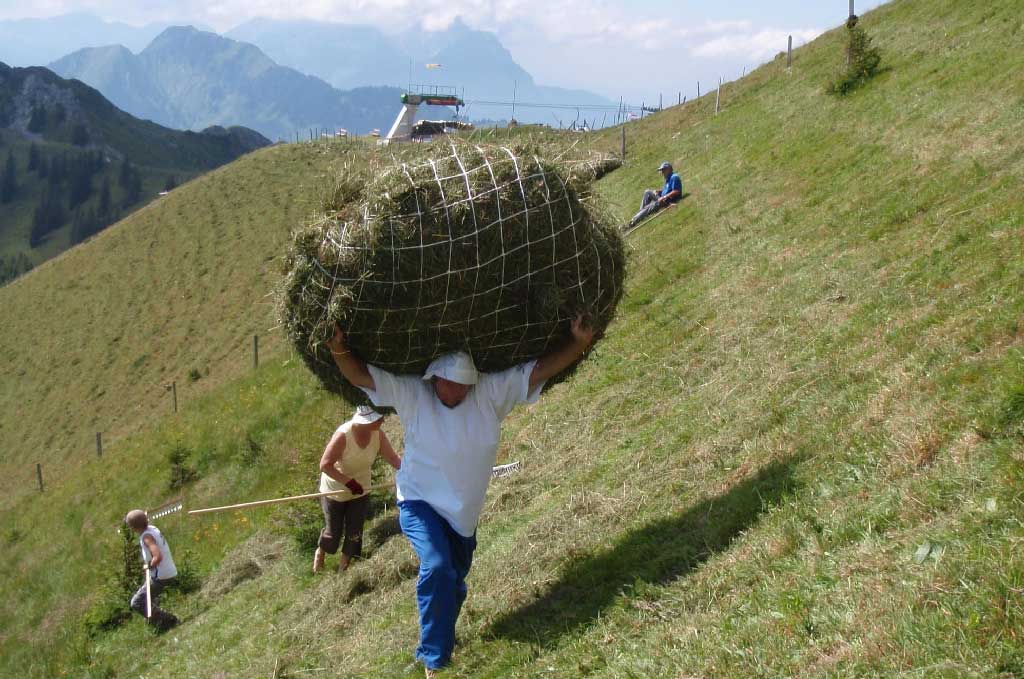 Haldigrat (NW): a wild haymaker in a farmer's shirt carrying a bale of hay on his back, 2009 © Kurt Mathis