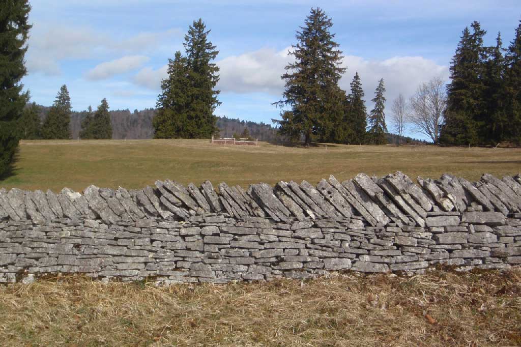 Mur de pierres sèches dans le Jura bernois © Felix Riegger, 2011/www.steinundkraut.ch