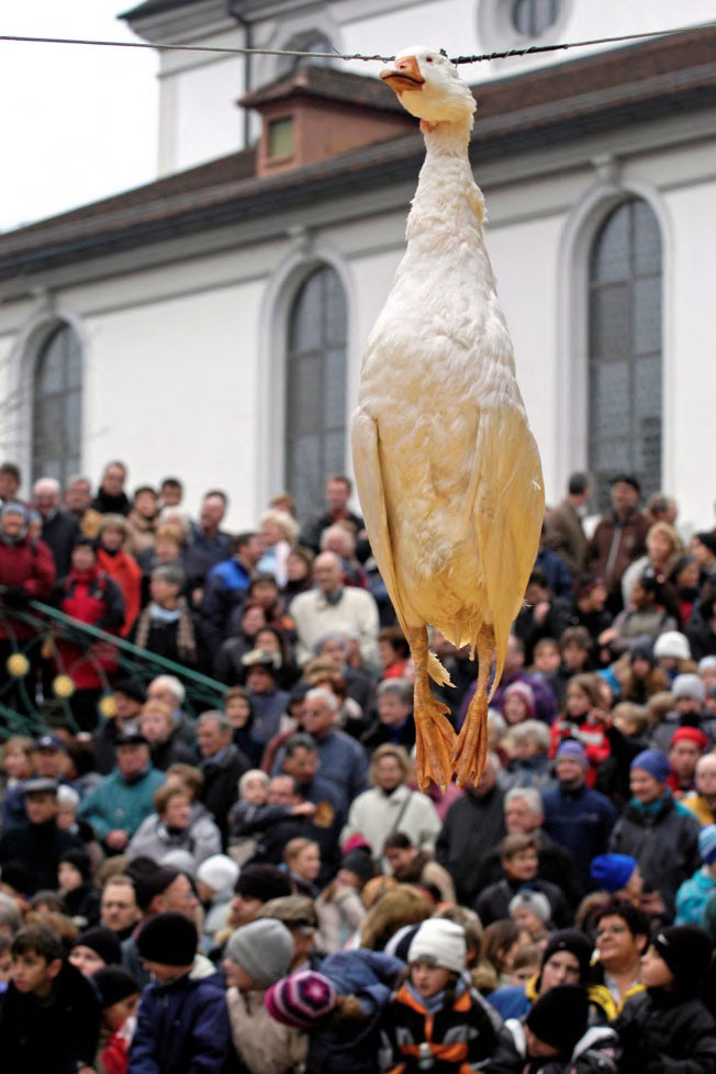 Une oie morte est pendue à un fil, Rathausplatz Sursee, 2004 © Bruno Meier, Sursee / Gansabhauet-Komitee, Sursee