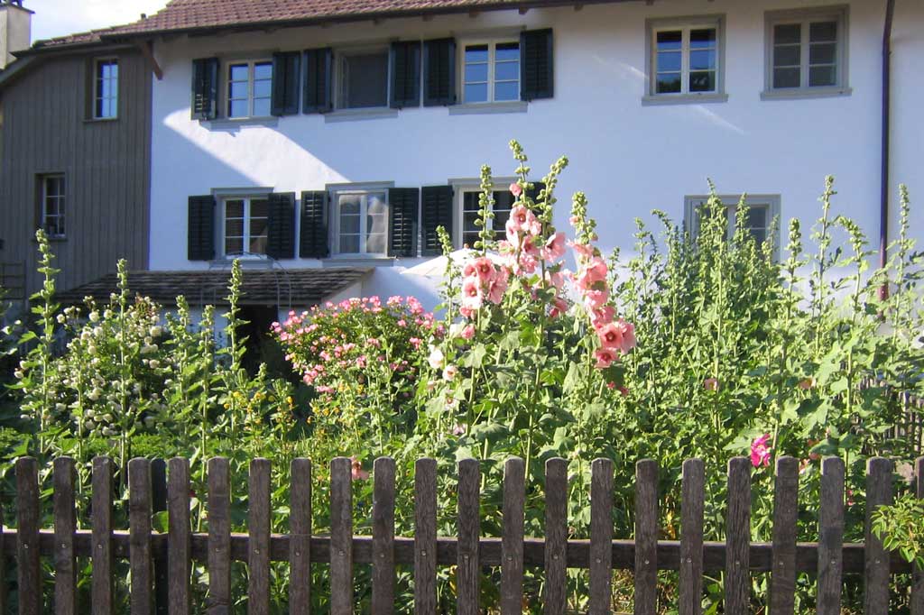 Le jardin situé devant le bâtiment de l‘« Oberdorf 29 » est le plus riche et le plus beau jardin paysan d’Osterfingen © Barbara Linsi, Osterfingen