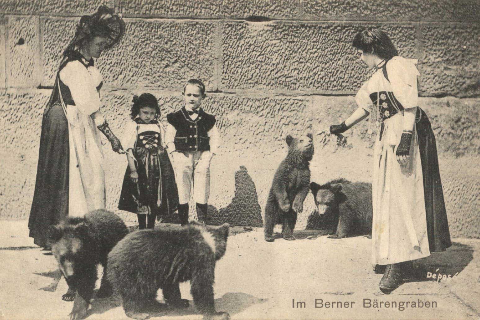 Carte postale de la fosse aux ours © Musée historique de Berne