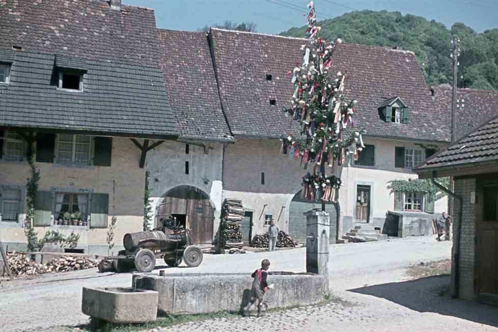 Arbre de mai à Füllinsdorf, Bâle-campagne © Theodor Strübin/Museum.BL