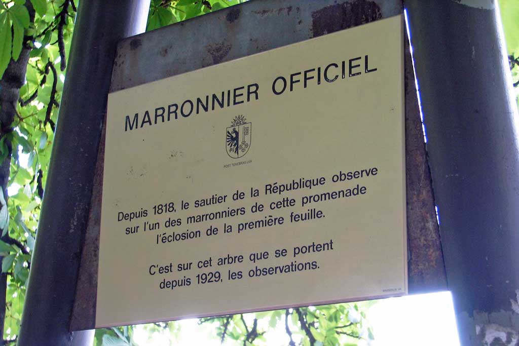 Plaque indicative du marronnier officiel © Secrétariat général du Grand Conseil, 2011