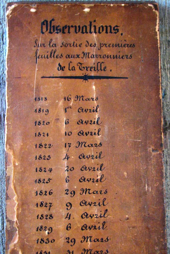 Tabelle sur laquelle sont indiquées les dates d’éclosion des premières feuilles annuelles du marronnier officiel © Secrétariat général du Grand Conseil, 2011
