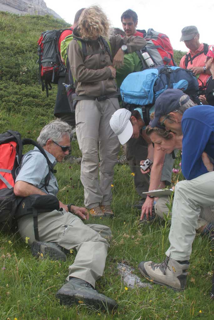 Cours de botanique aux accompagnateurs en moyenne montagne, en Valais © Ecole de St-Jean, Val d’Anniviers