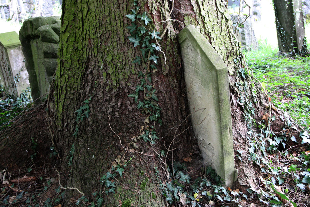 Le plus ancien cimetière juif de Suisse se trouve à la frontière entre les deux communes d’Endingen et Lengnau © Kai-Bernhard Trachsel, 2011