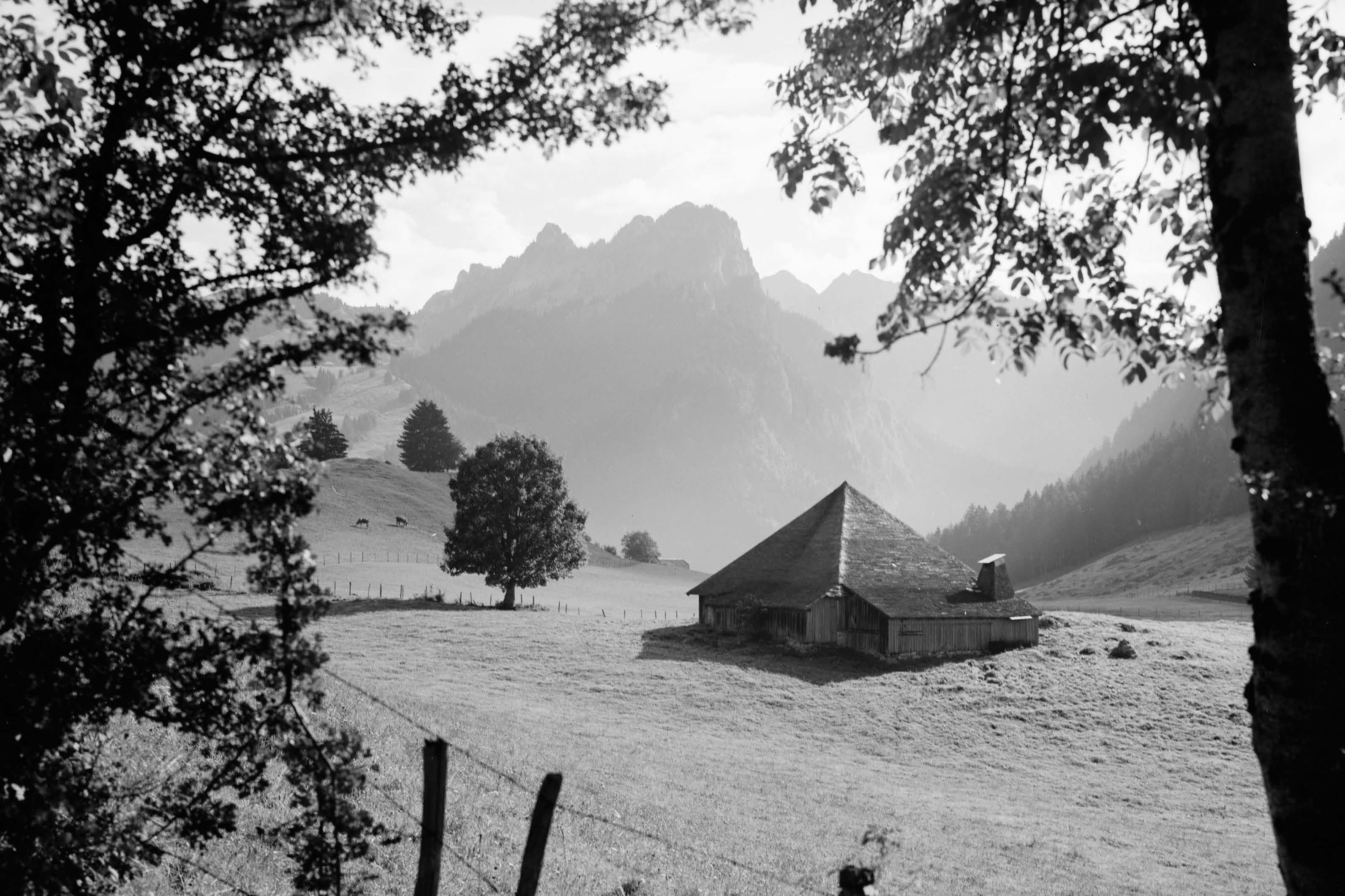 Chalet de la Monse à Charmey, le plus ancien bâtiment en bois en Gruyère construit vers 1500 © Glasson/Musée gruérien, Bulle