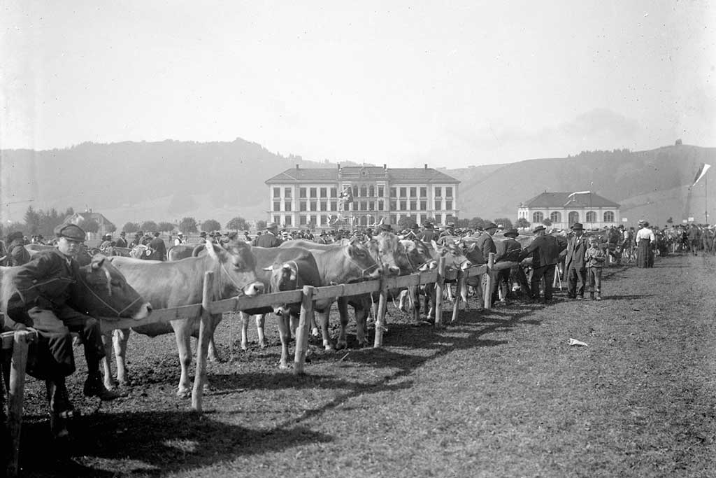 Foire aux bestiaux à Einsiedeln (SZ), années 1930 © Klosterarchiv Einsiedeln