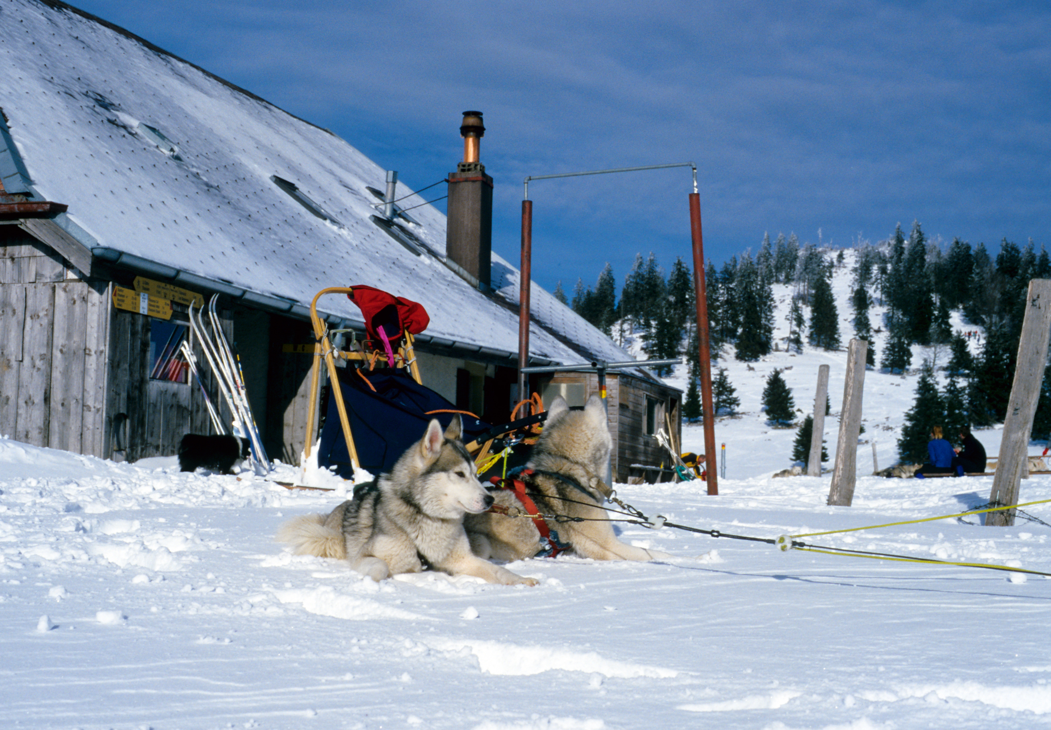 « De la neige et du soleil », Métairie de l’Isle, Lignières, environ 1995-2001 © Mémoires d’Ici, Fonds Beat App	