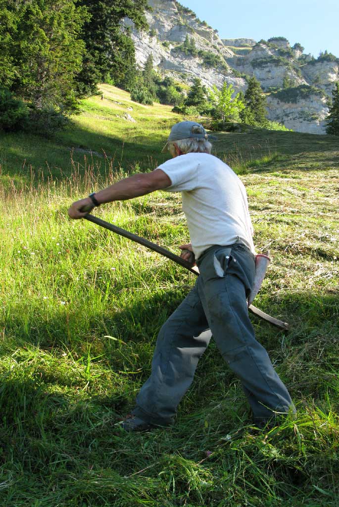Rophaien ob Flüelen, Uri : Augustin Gisler est dans la pente avec sa faux, 2008 © Michael Dipner, Basel