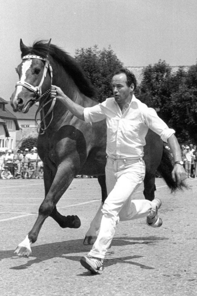 «Marché-Concours», Saignelégier, 1992: presentazione di un cavallo © Archives cantonales jurassiennes (ArCJ)