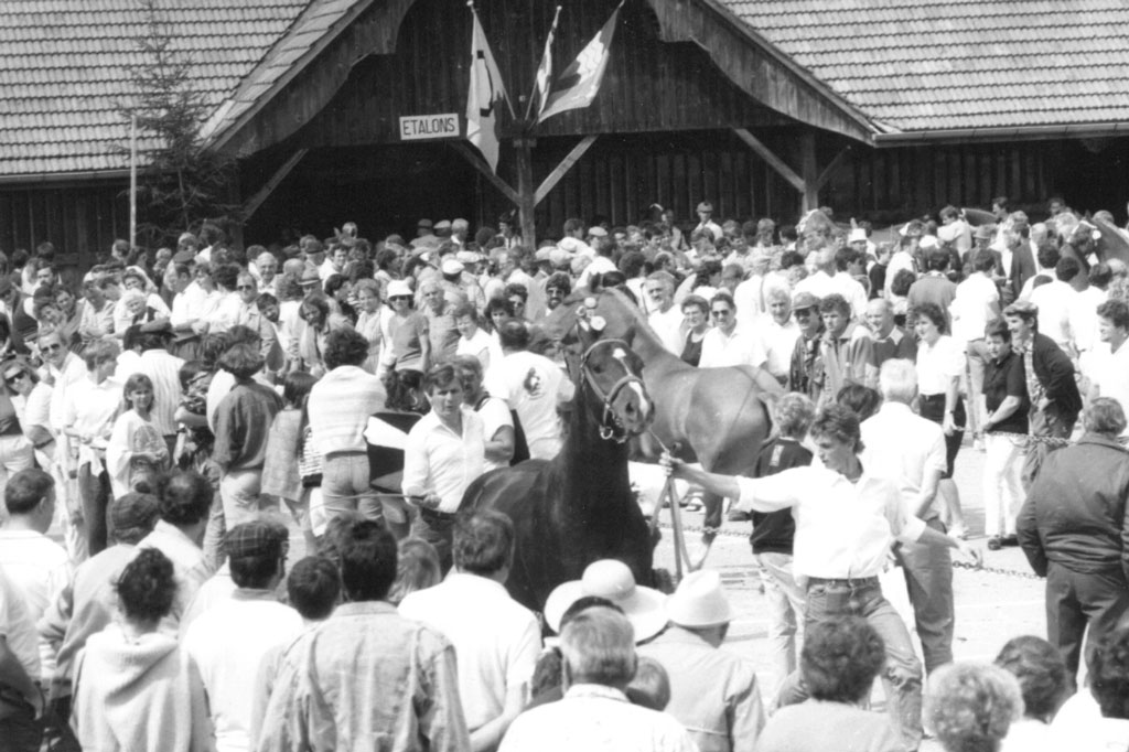 «Marché-Concours», Saignelégier, 1989: numerosi conoscitori assistono al concorso di cavalli © Archives cantonales jurassiennes (ArCJ)
