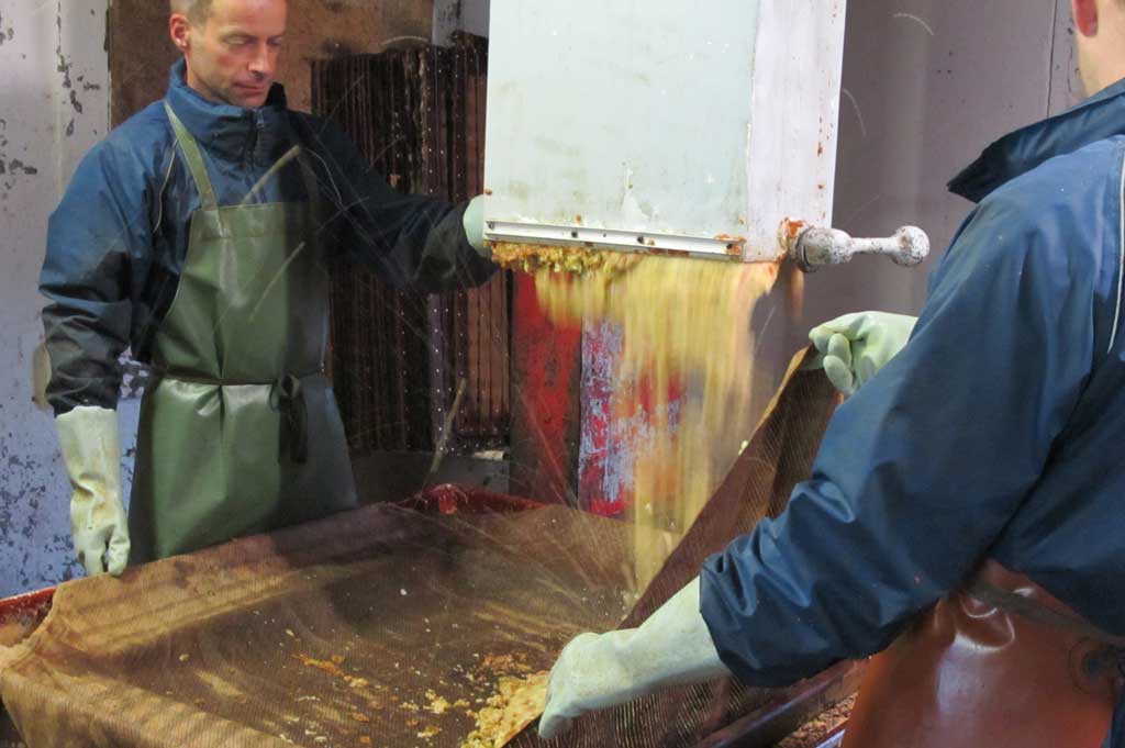 Il prodotto della spremitura è messo nel torchio © Martina Obrecht, 2011