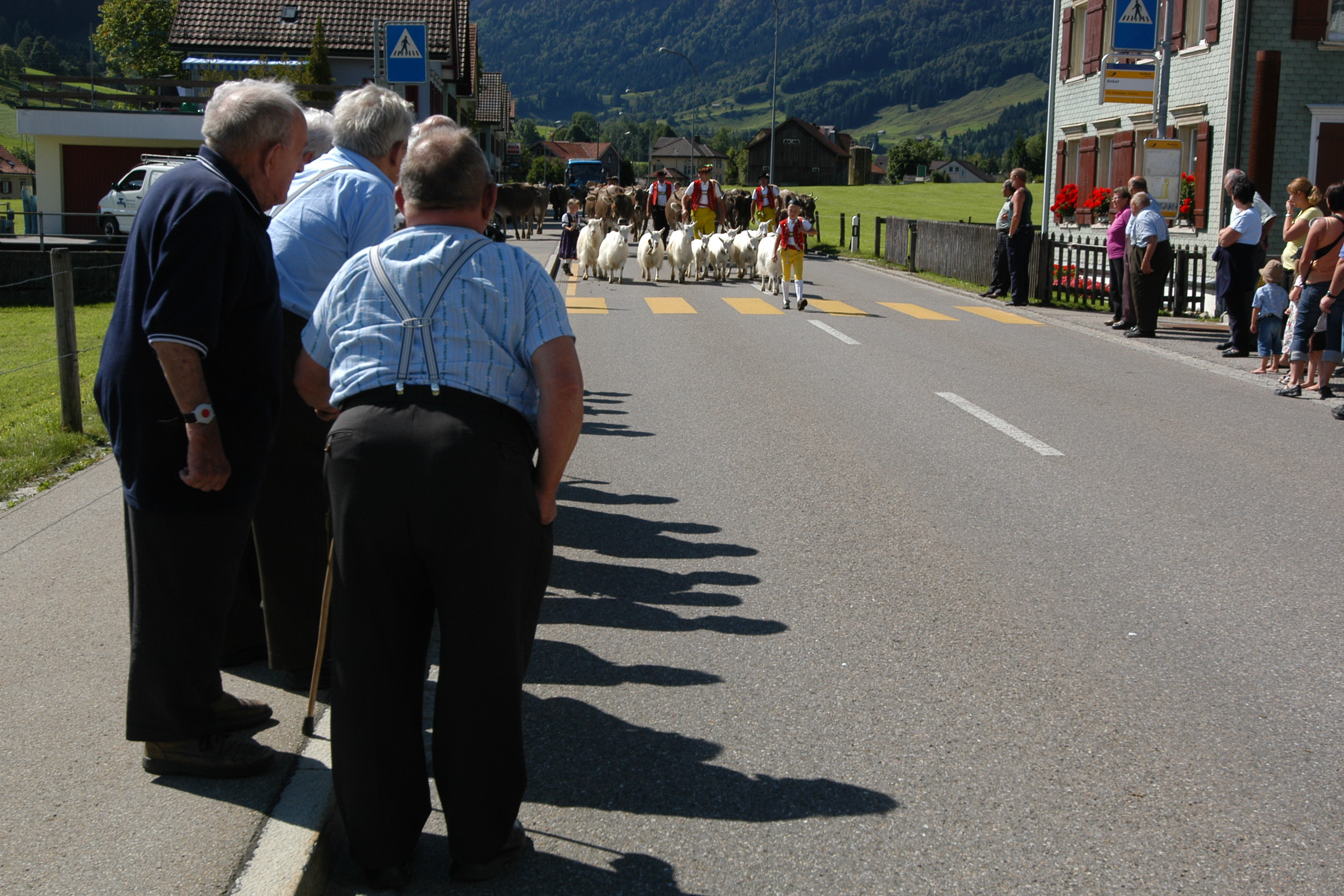 Partenza per l’alpeggio, ristorante Anker: intenditori del posto e numerosi ospiti attendono il passaggio del corteo che sale all’alpeggio © H. Hürlemann, 2011