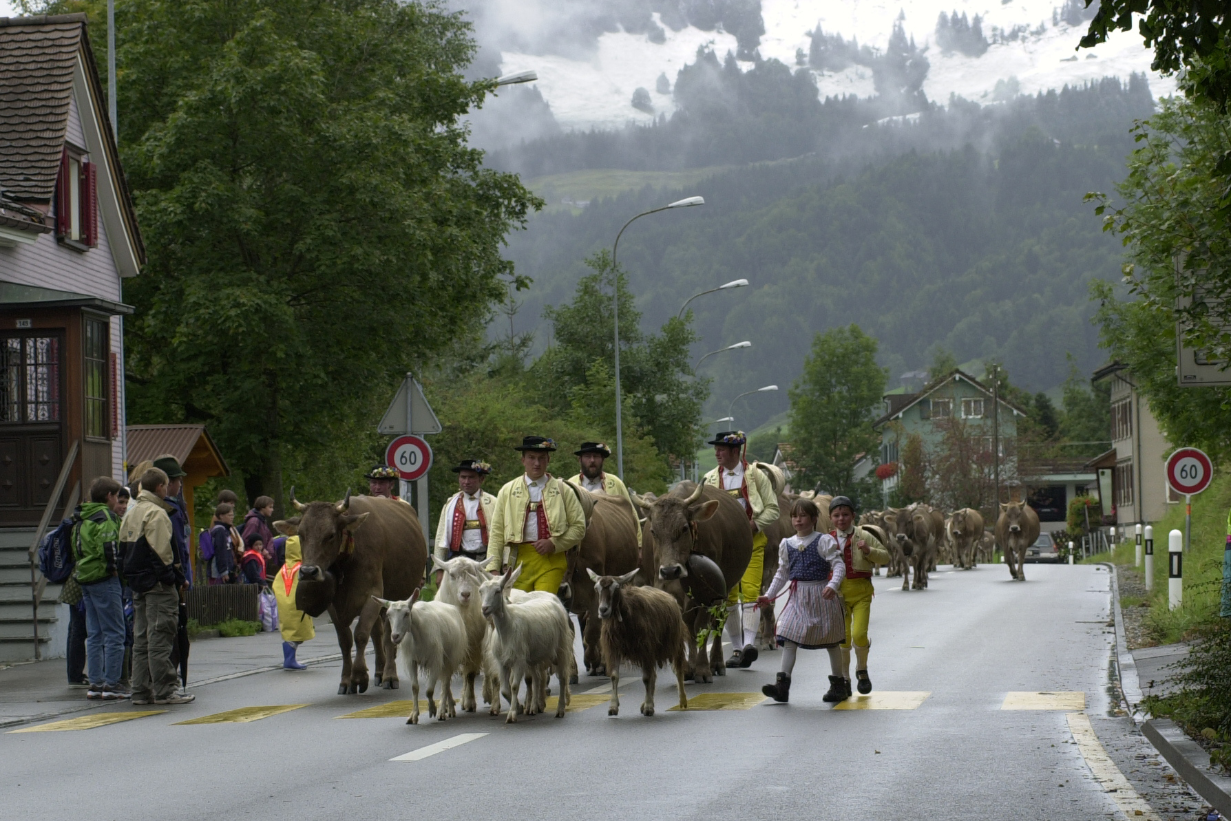 Salita all’alpeggio: un corteo partito per l’alpe si sta avvicinando al villaggio di Urnäsch © Hans Hürlemann, Urnäsch, 2001