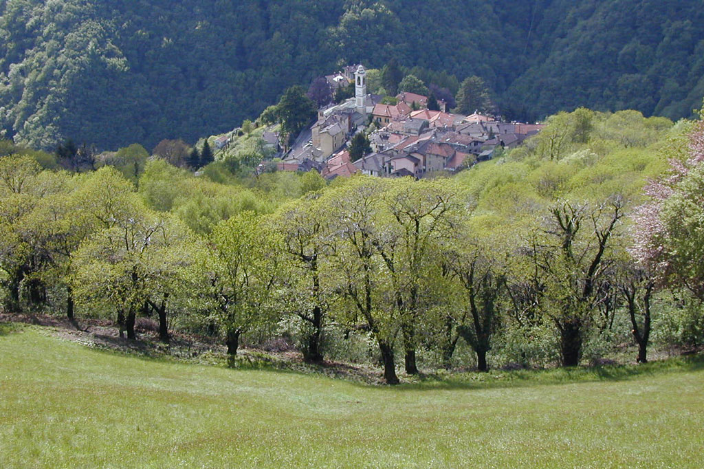 Guaudet da chastagners a Caneggio, Val da Muggio © Paolo Crivelli/MEVM