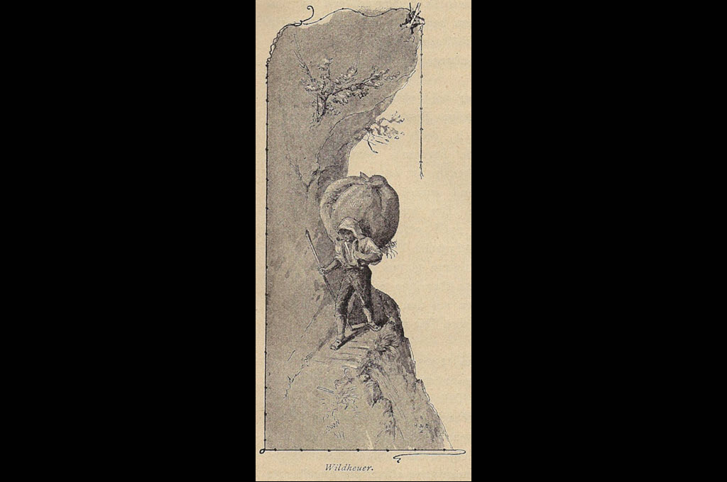 Il fanader che fa fain selvadi sco motiv illustrativ en in guid da viadi per Engelberg, 1889