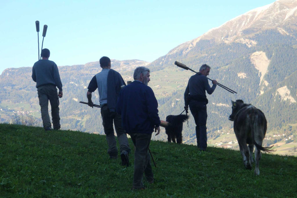 Mazza cula: Aspectaturs mirveglius sin l'areal da gieu © Silvia Conzett, 2011