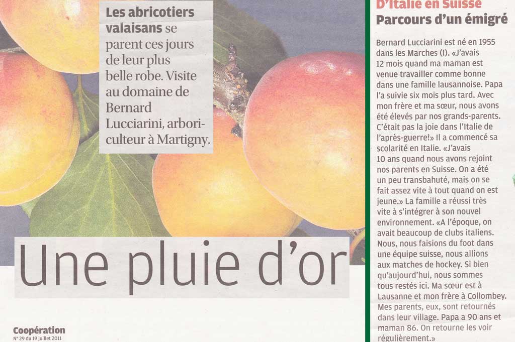 Anne-Marie Cuttat: Une pluie d'or sur le verger (extract dal magazin da la Migros nr. 29, dals 19 da fanadur 2011, p. 26-29) © Anne-Marie Cuttat, Charly Rappo/Migros Magazine
