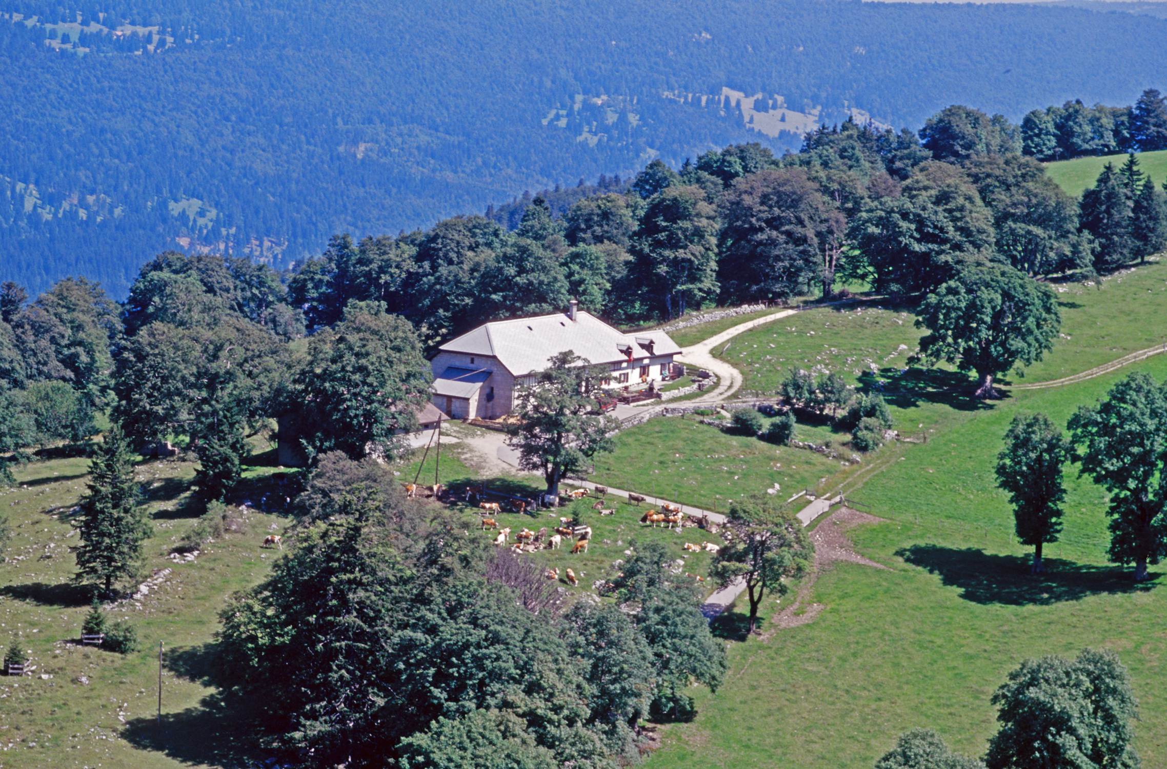 Ina da las «métairies» da la chadaina dal Chasseral, Métairie des Plânes, Les Pontins, ca. 1995-2001 © Mémoires d’Ici, Fonds Beat App