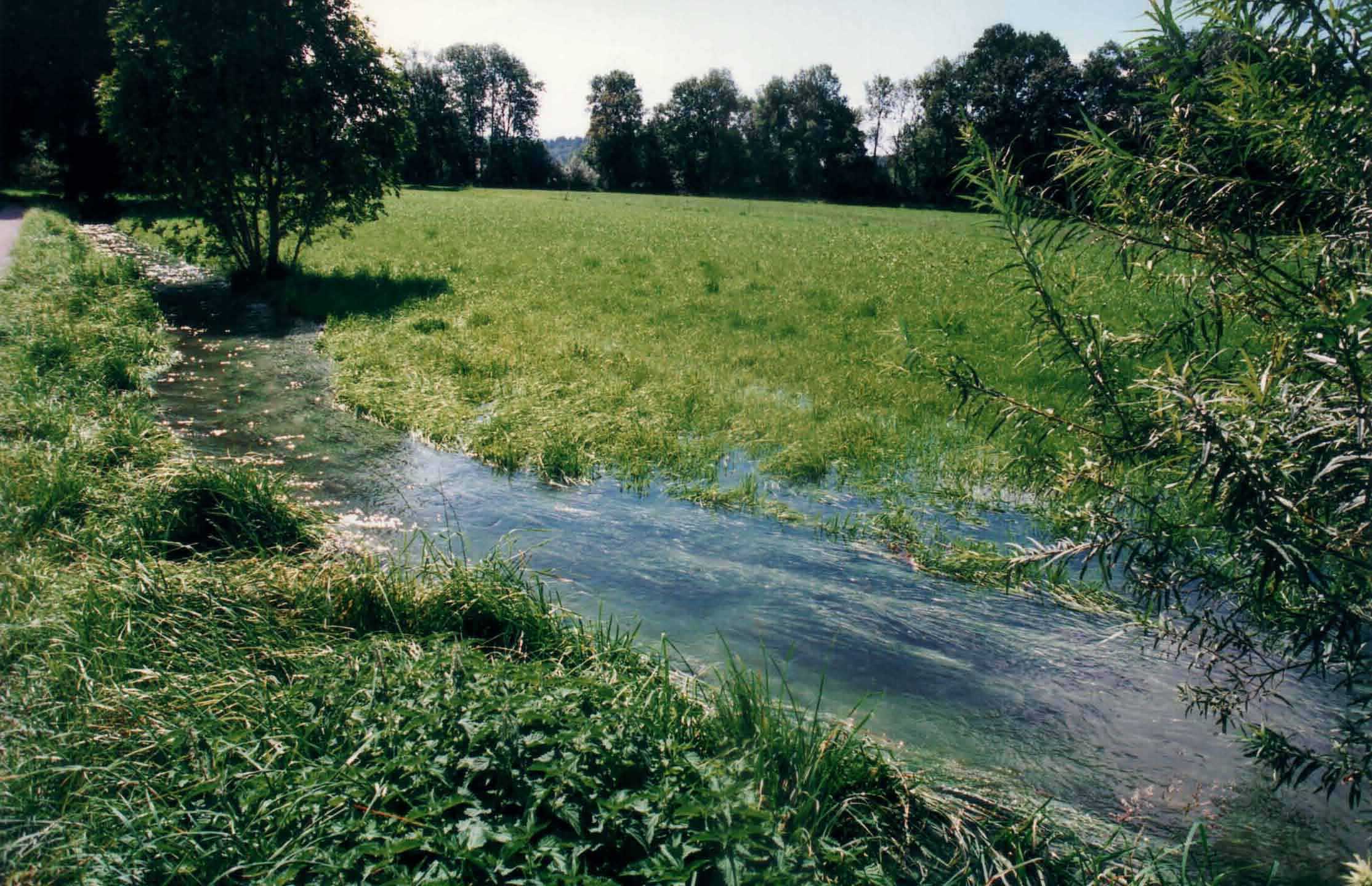 La «Stettlermatte» a Lotzwil © Margrit Kohler, 2003